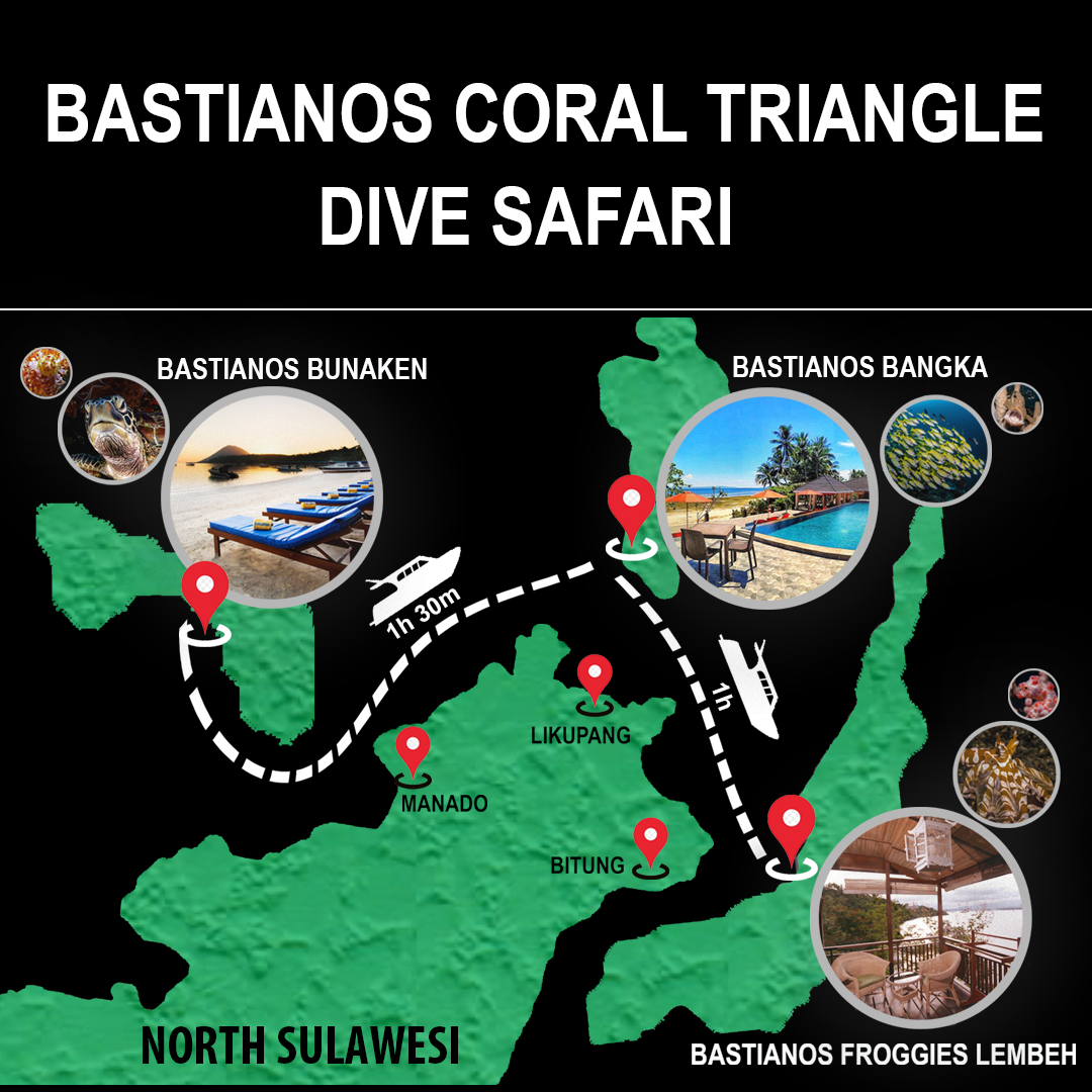 Bastianos Coral Triangle Dive Safari