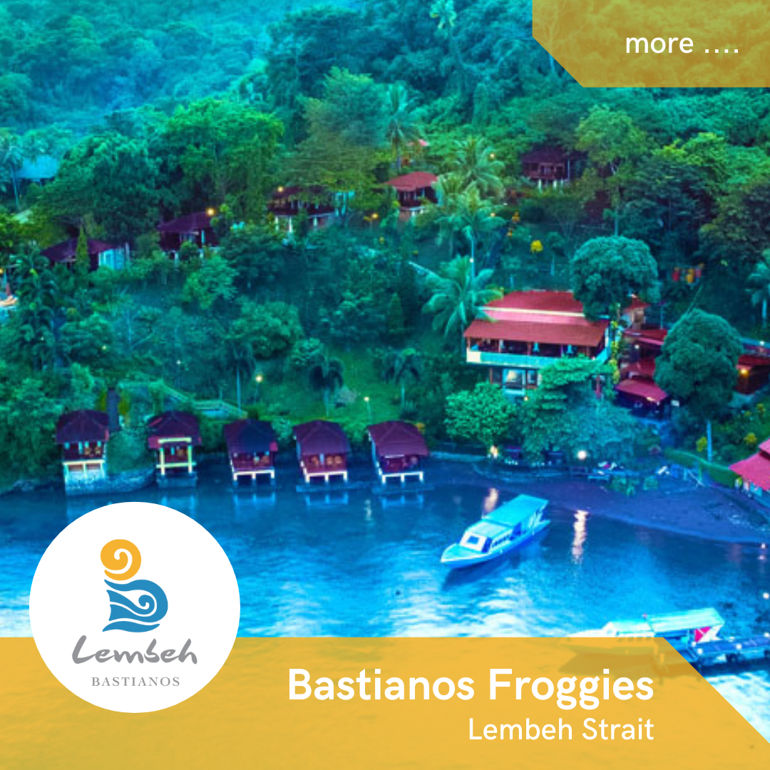 Bastianos Froggies Lembeh Dive Resort